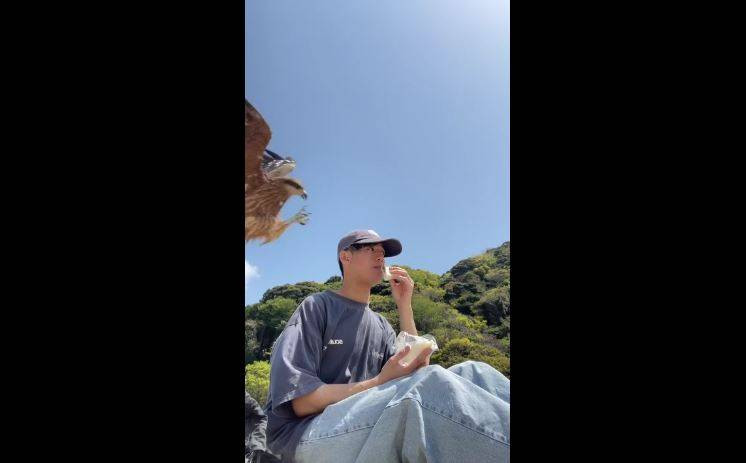 Japon gencin ağzına götürdüğü sandviçi pençesiyle çaldı! Fişek gibi geldi tek hamlede kaptı - Resim: 11